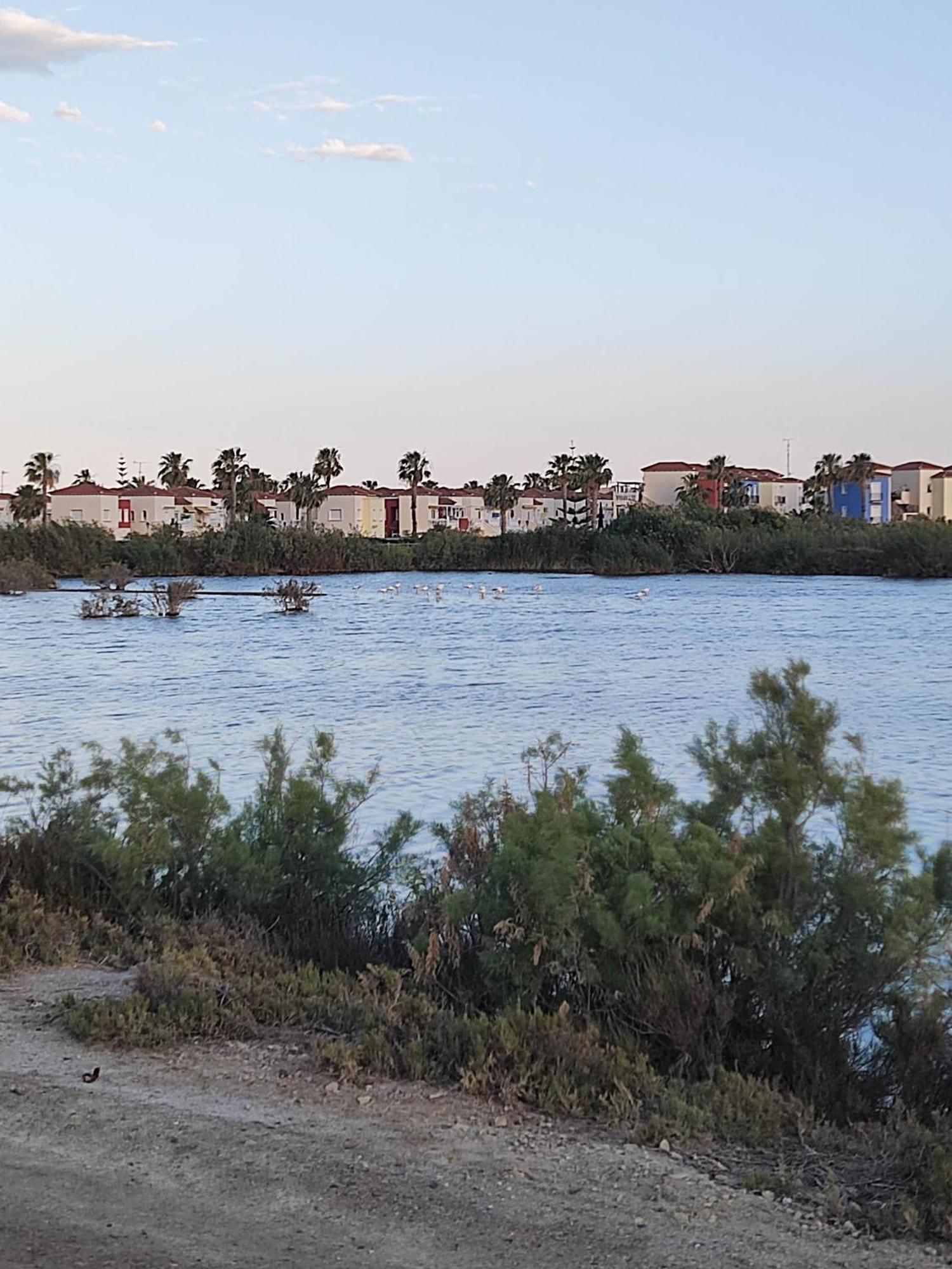 El Mirador De Torremari - Nudista - Vera Playa Экстерьер фото